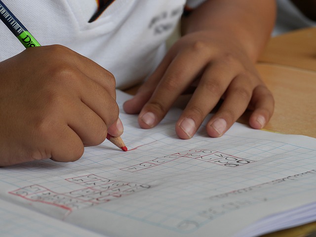 TO PROMOTE OBJECTIVE LEARNING AND LITERACY